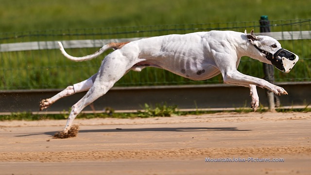 200509_101737_F__0330