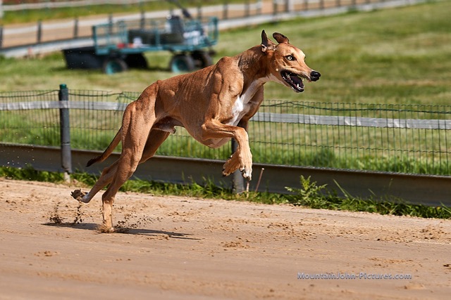 200516_094345_F__0119