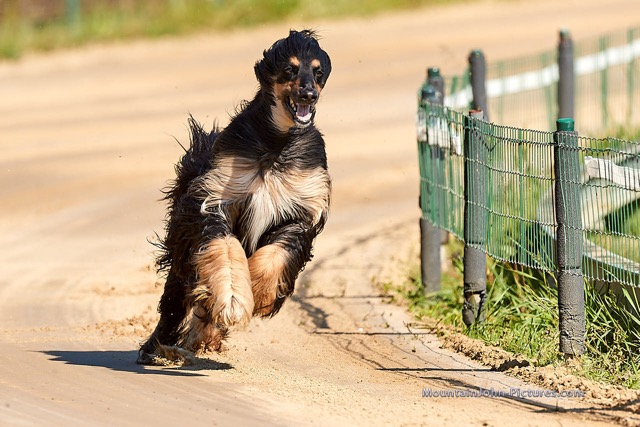 200530_092817_F__0001