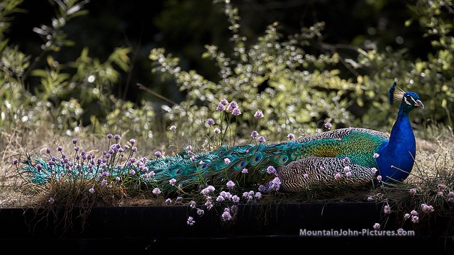 200602_110916_F__1184