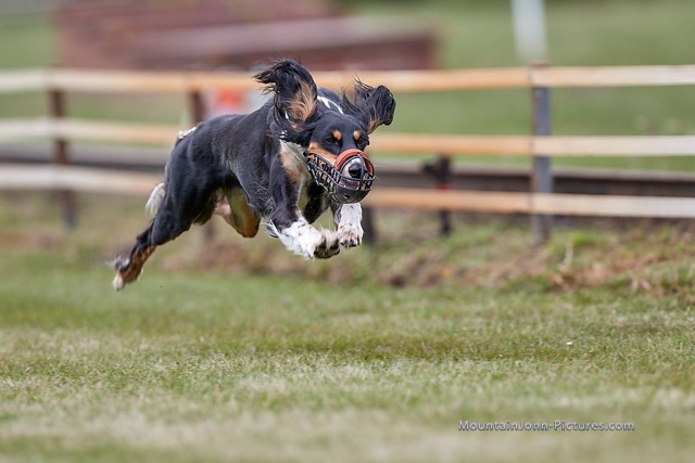 200613_143321_F__0138