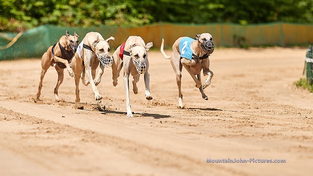 200711_141440_F__1762