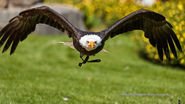 200730_152455_F__3279