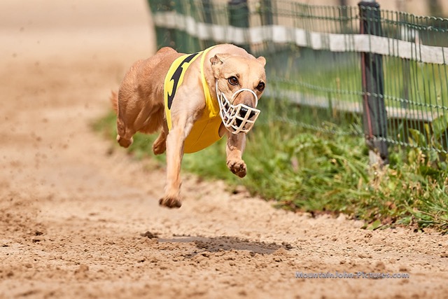 200830_140714_F__0982