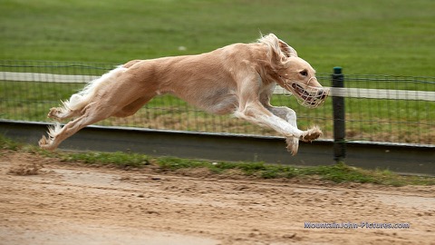 2021-08-22_11-09-54__F__0029