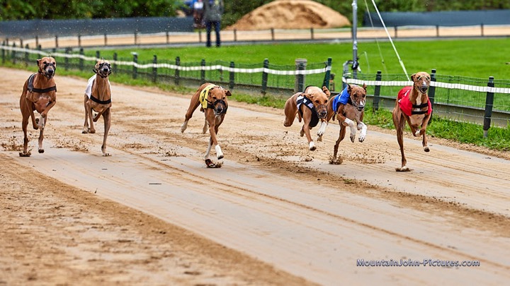 2021-09-01_15-31-55__G__2776