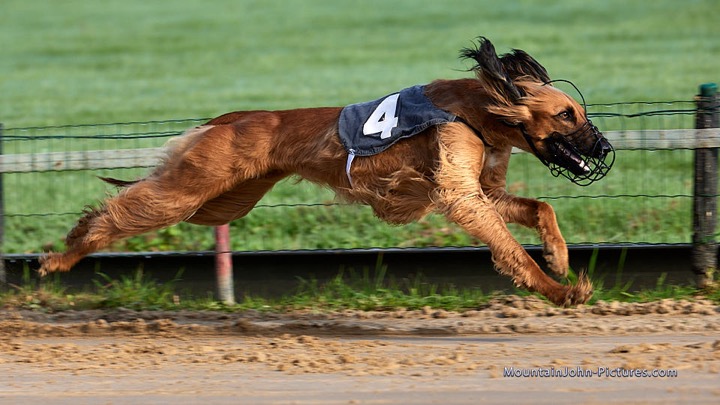 2021-09-02_09-04-15__G__0124