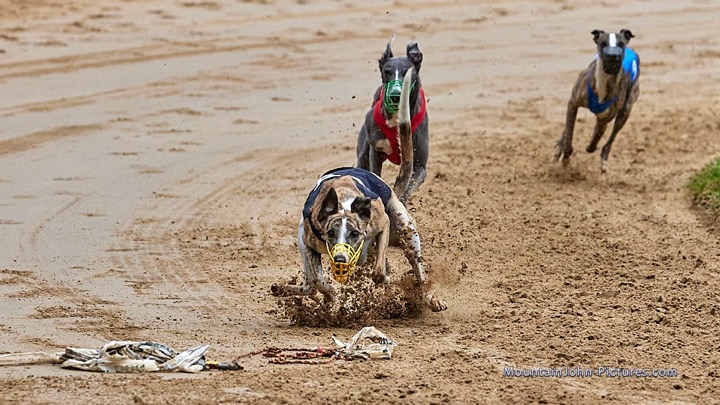 2021-09-04_09-30-30__G__0662