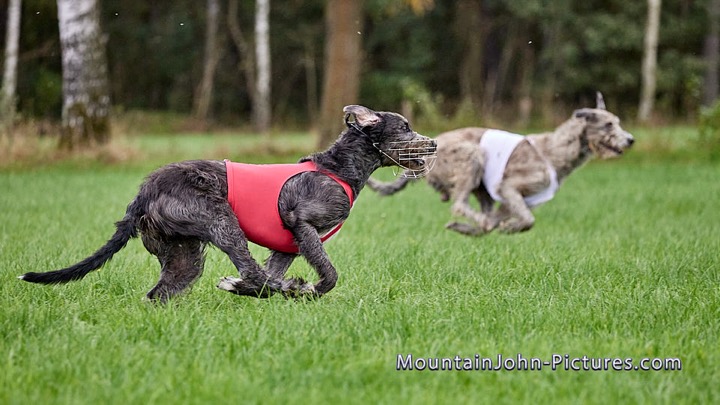 2021-10-02_16-38-13__G__9844