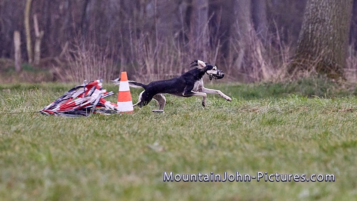 2022-03-27_09-08-47__G__0047