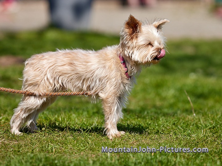 2022-04-24_11-54-55__G__7604