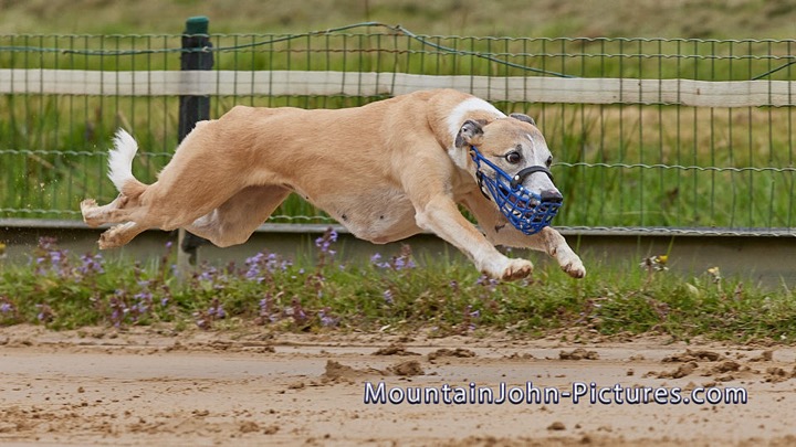 2022-05-01_09-30-00__G__0054