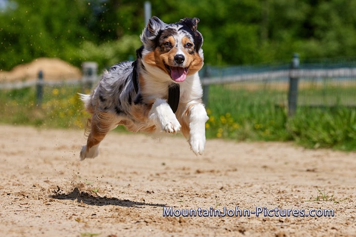 2022-05-26_11-24-29__G__1308