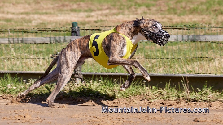 2022-07-03_09-00-26__G__0025