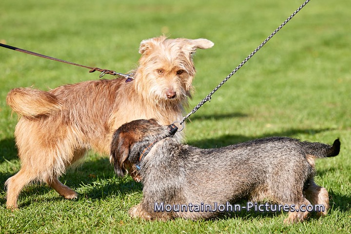 2022-10-03_10-18-13__G__0410