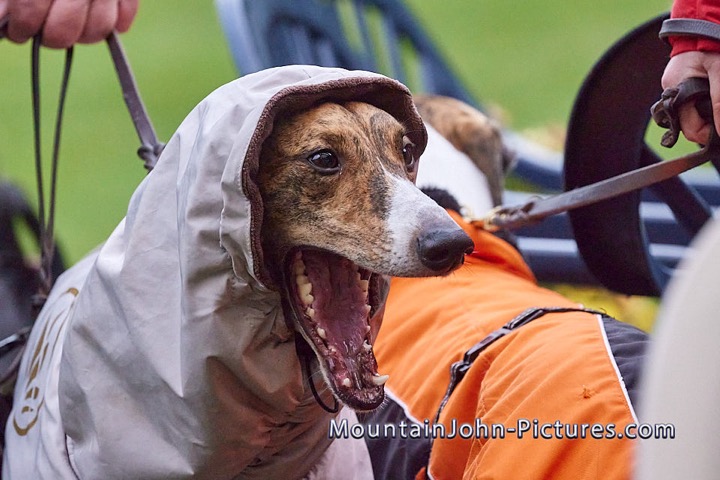 2022-10-15_08-51-29__G__0007