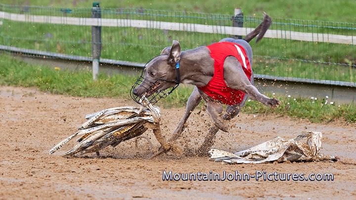 2023-04-23_10-00-35__G__1116