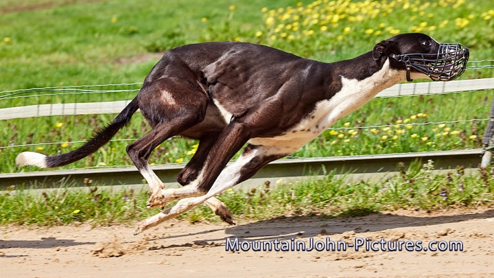 2023-05-06_13-17-56__G__4465