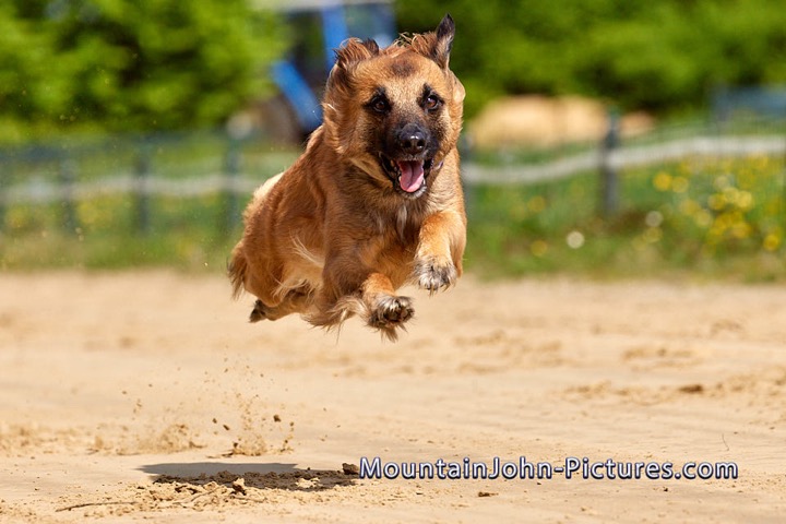 2023-05-18_11-05-40__G__2036