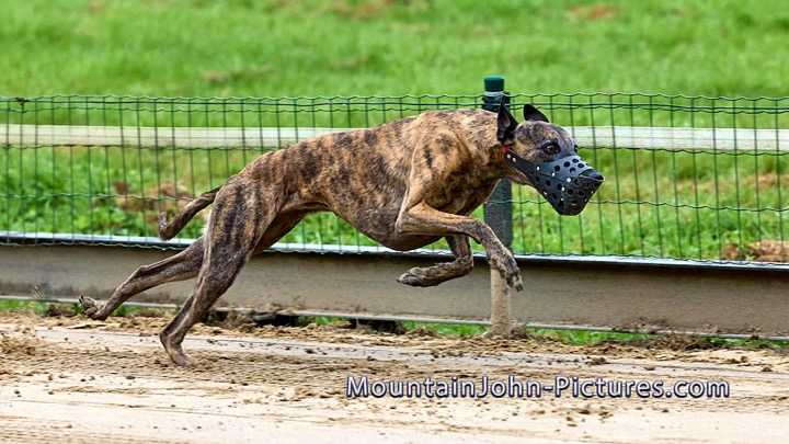 2023-09-02_10-10-53__H__0057