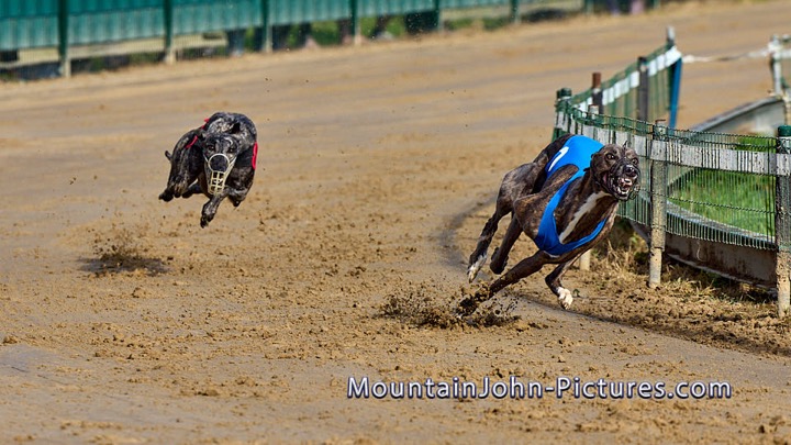 2023-09-03_09-30-18__H__0049