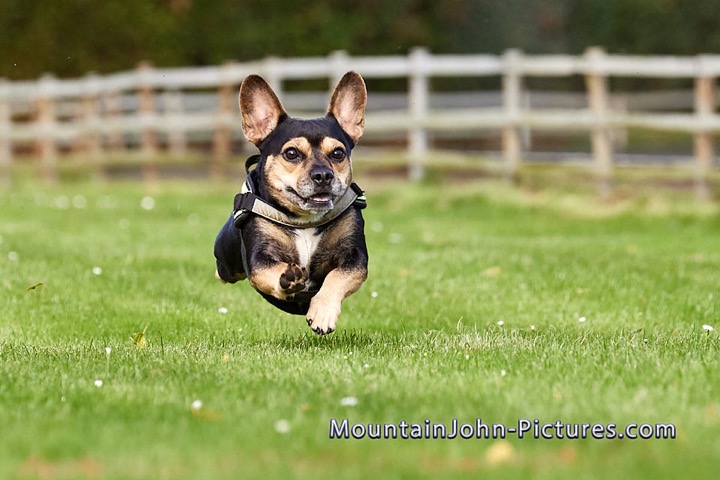 2023-10-03_10-42-08__G__0258