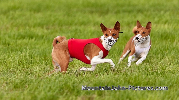 2023-10-07_16-25-33__G__10329