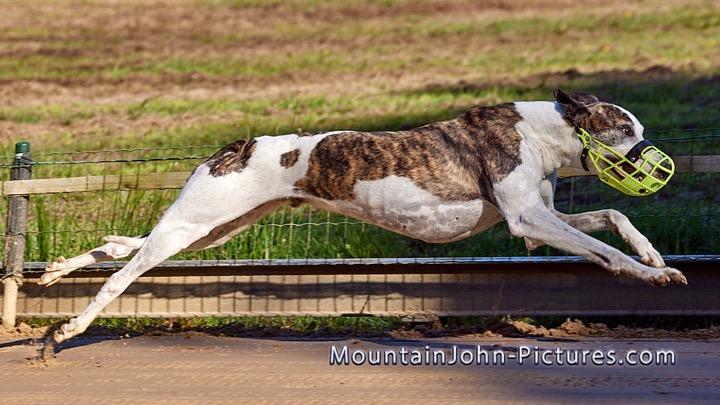 2025-04-27_09-14-37__G__8499