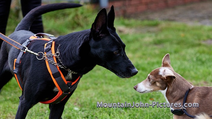 2025-10-03_10-27-51__G__0060