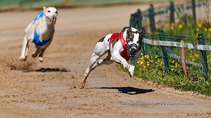 210530_100430__F__0084