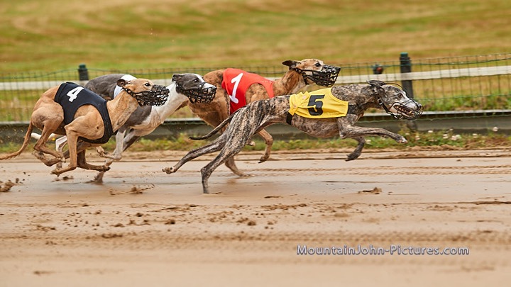 210704_094851__F__0558