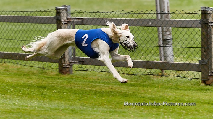 210710_081735_F__0037