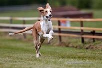 200613_143146_F__0106