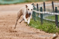 200830_141038_F__1014