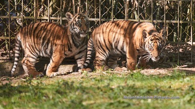 190422_091838_F__0032