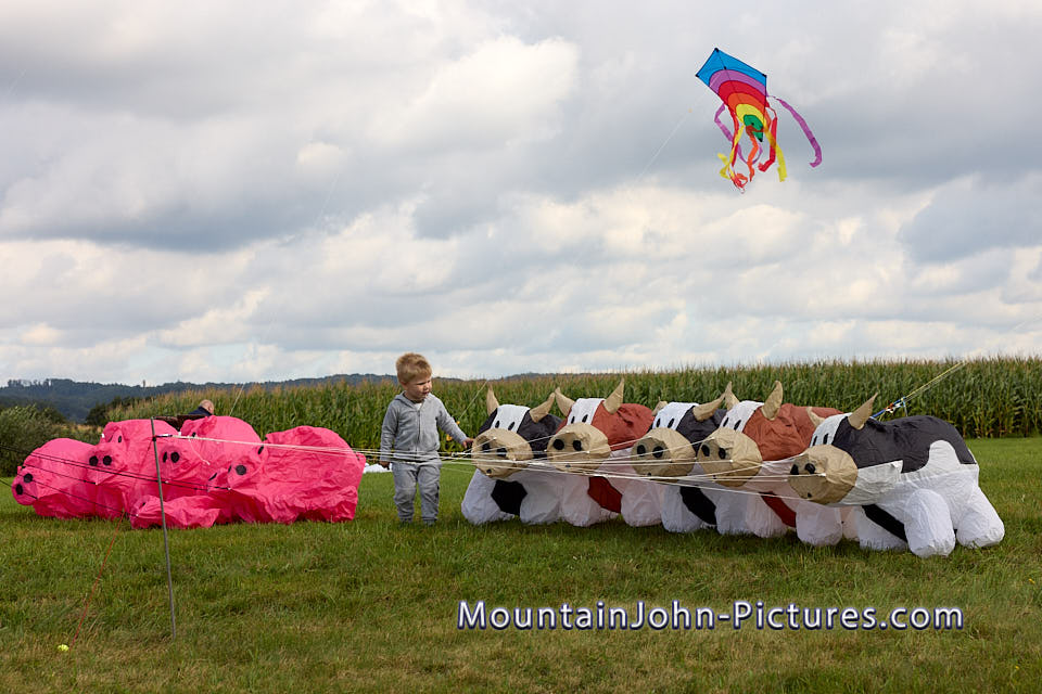 2023-08-26_11-13-06__H__0259.jpg
