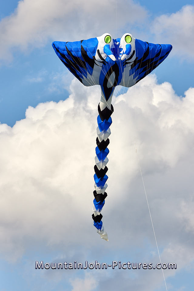 2023-08-26_17-44-42__G__0965.jpg