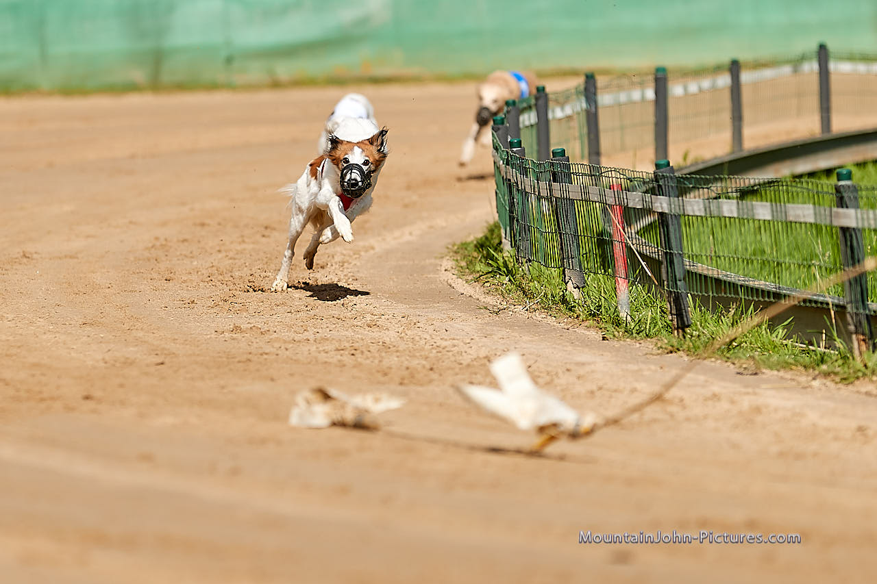200711_091032_F__0165.jpg