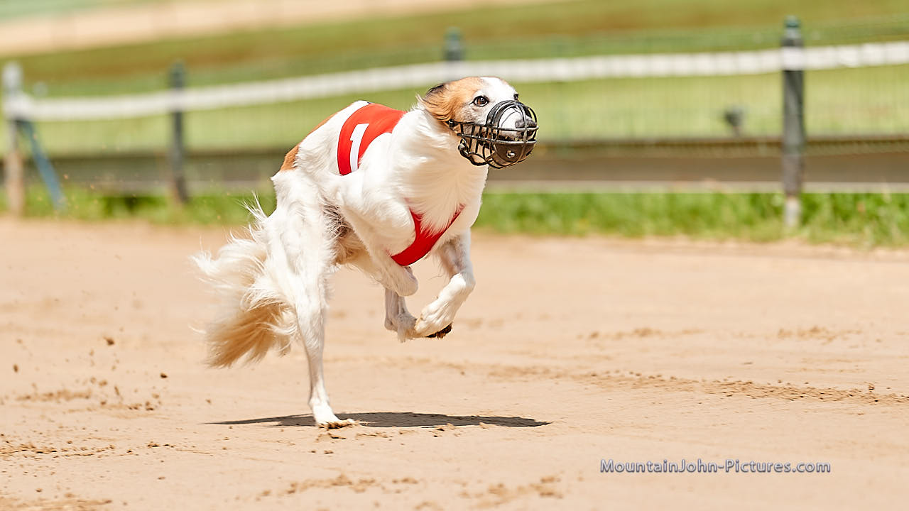200711_130809_F__1196.jpg