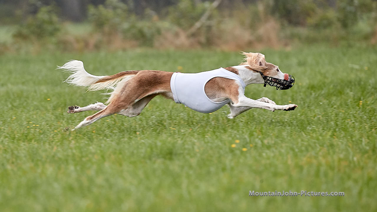 201017_105339_F__1105.jpg