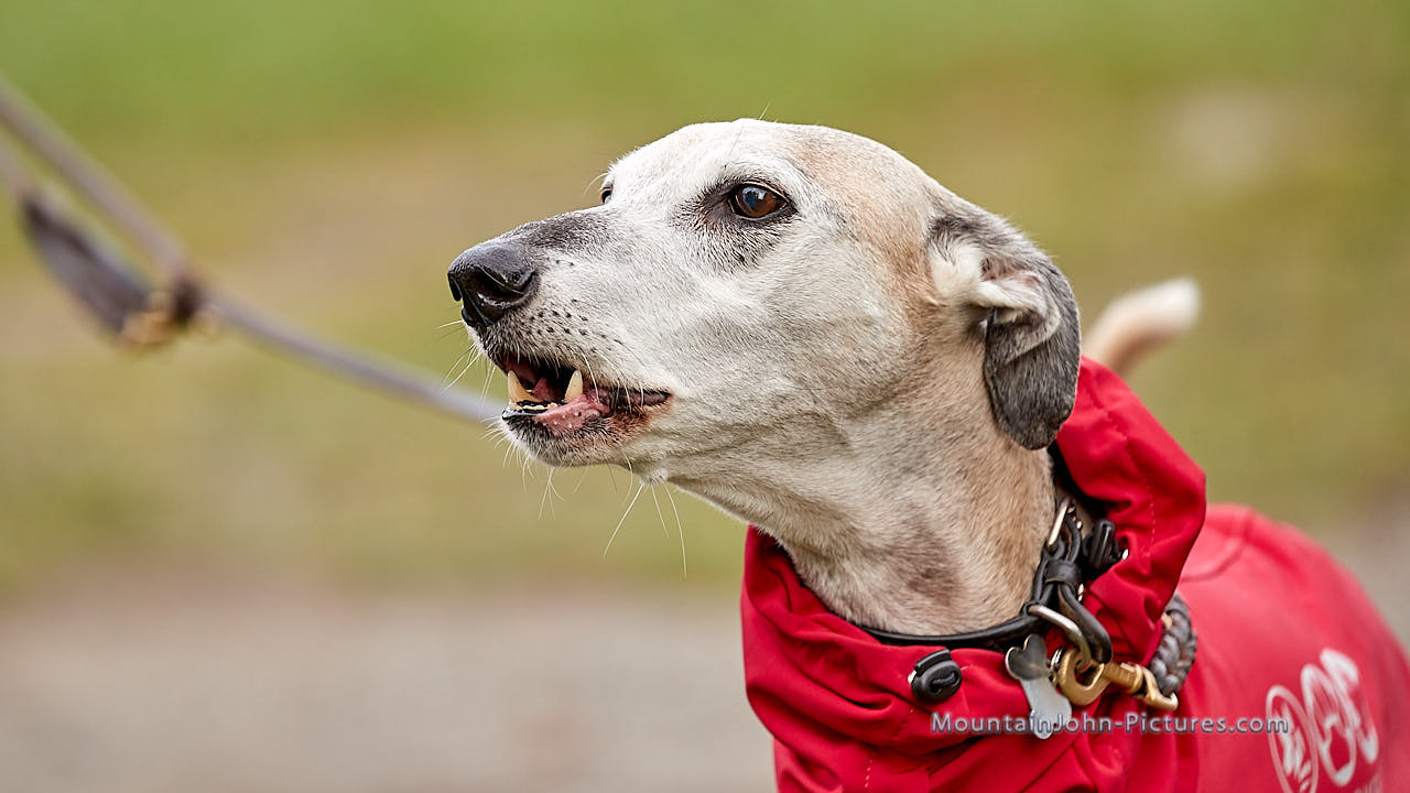 201017_125022_F__1680.jpg