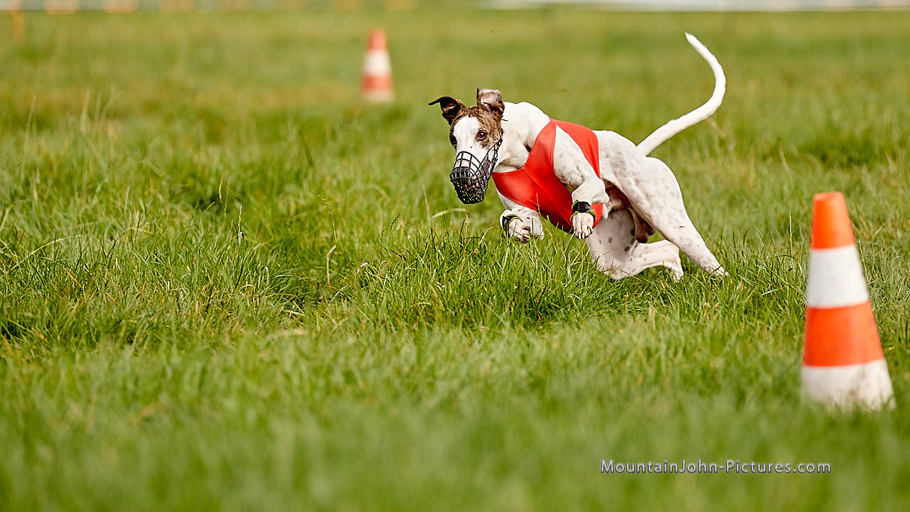 201017_145253_F__2472.jpg