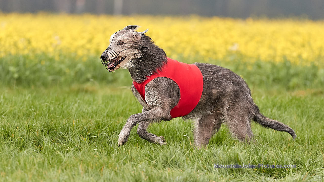 201018_110419_F__1505.jpg