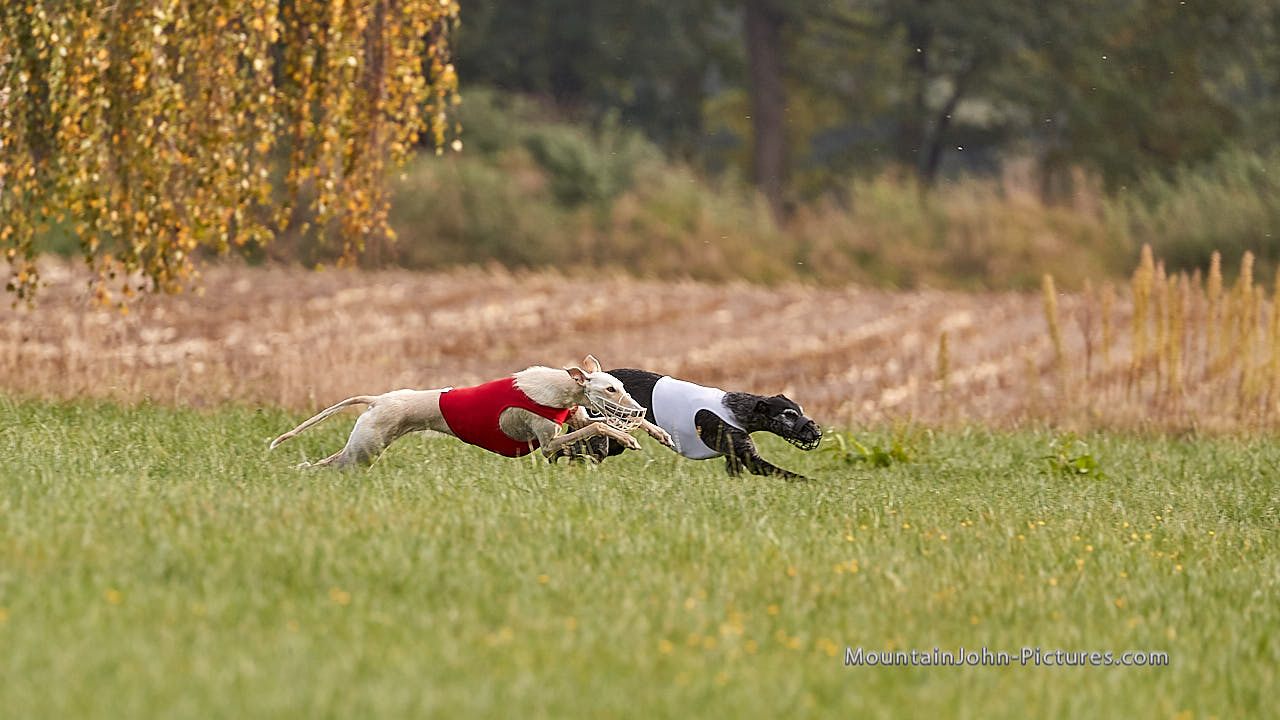 201018_145125_F__3968.jpg