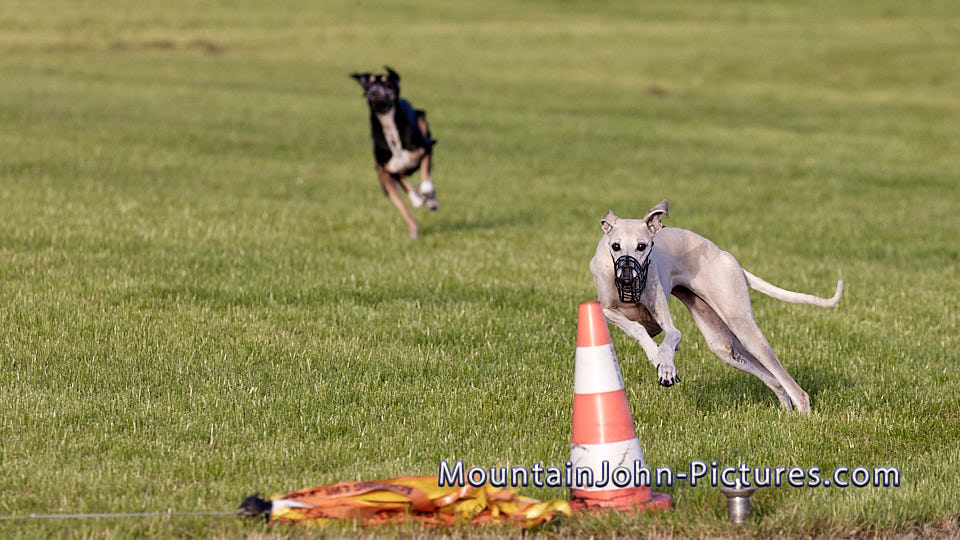2025-10-19_17-03-50__G__1137_11135.jpg