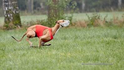 201017_091046_F__0097