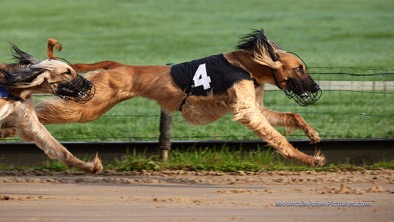 2021-09-02_09-01-30__G__0049