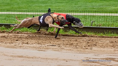 2021-09-04_09-26-28__G__0577