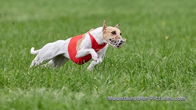 2021-10-02_16-46-13__G__0050