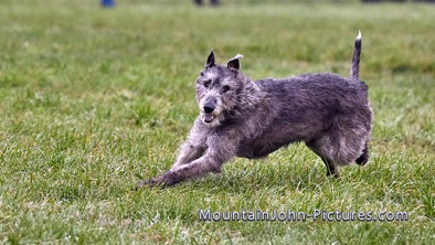 2022-03-27_09-01-34__G__0022